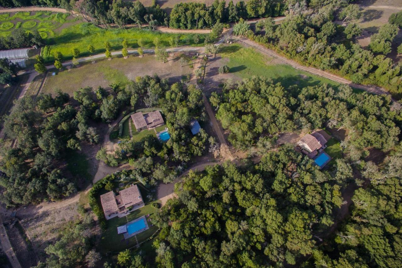 Villa Domaine Finili Cauro Esterno foto