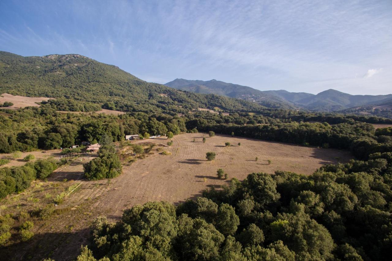 Villa Domaine Finili Cauro Esterno foto