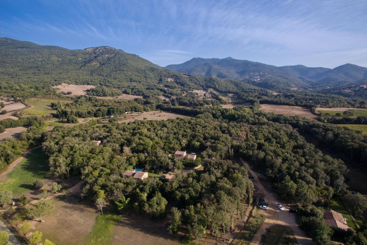 Villa Domaine Finili Cauro Esterno foto
