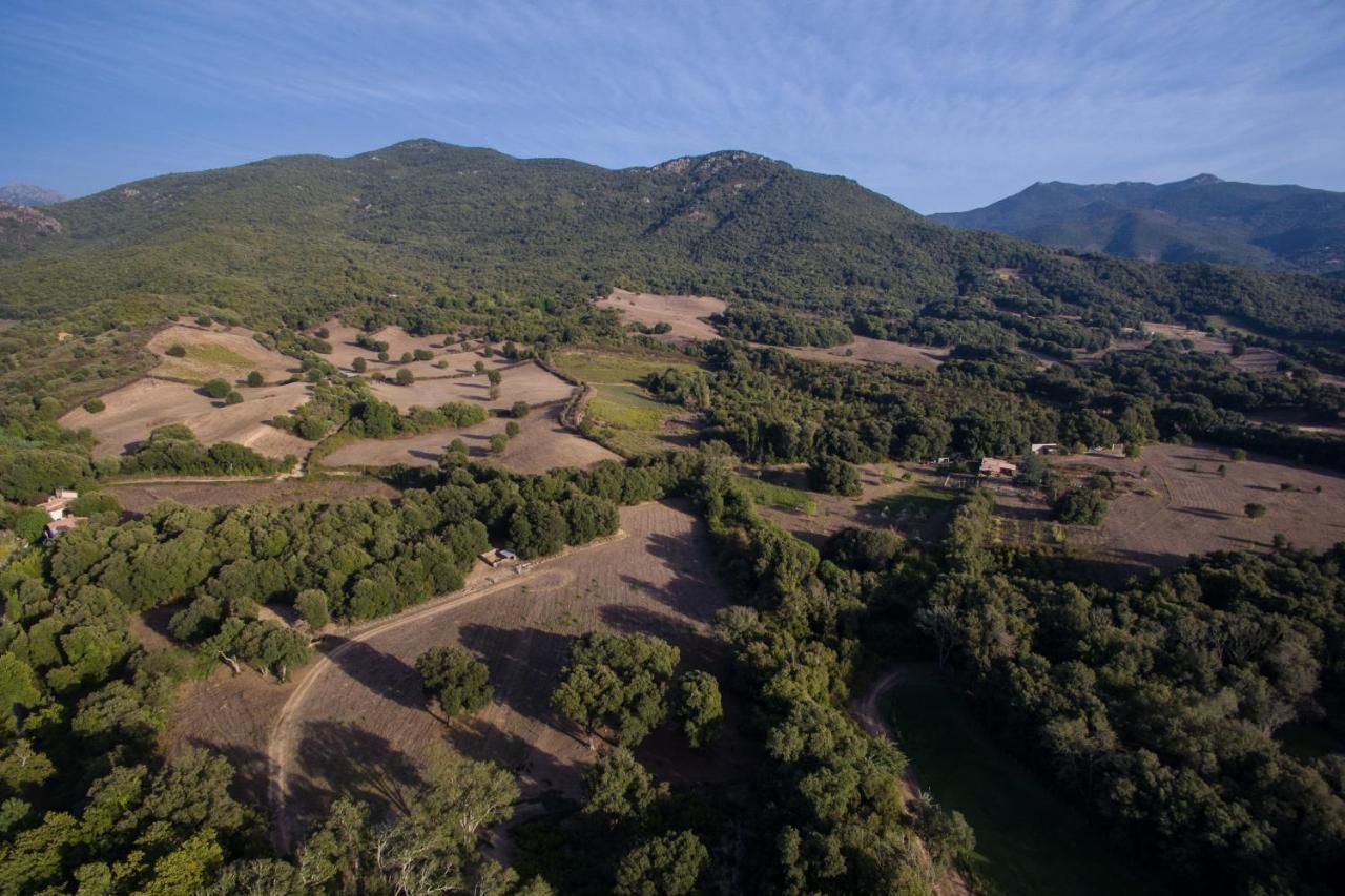 Villa Domaine Finili Cauro Esterno foto